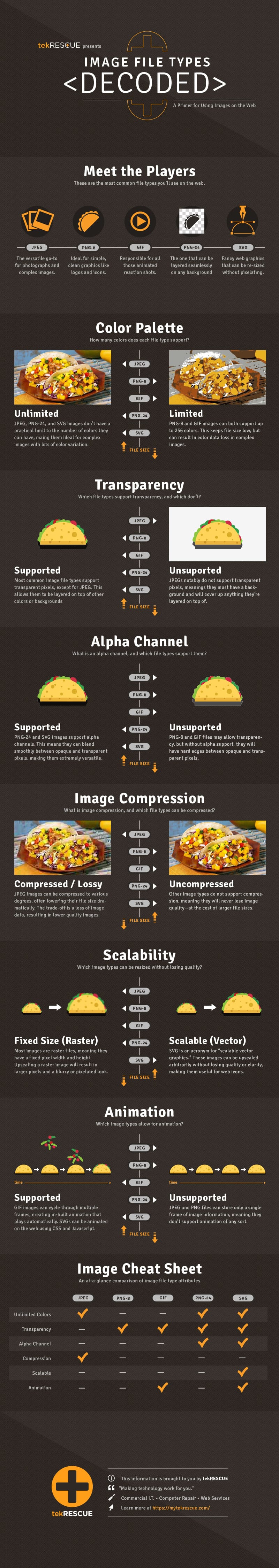 An infographic comparing different image file types. Read below for a text-based version of the info.