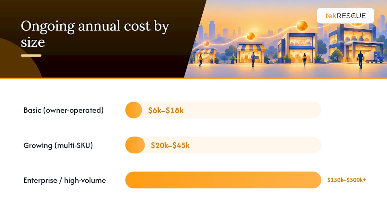 What Does an Ecommerce Website Cost by Business Size? — overview diagram