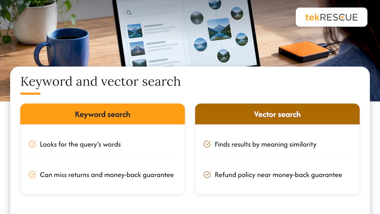 What is a vector database, in simple terms?